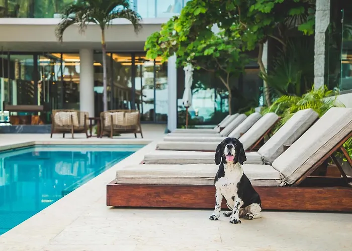 Thompson House By Hyatt 4*