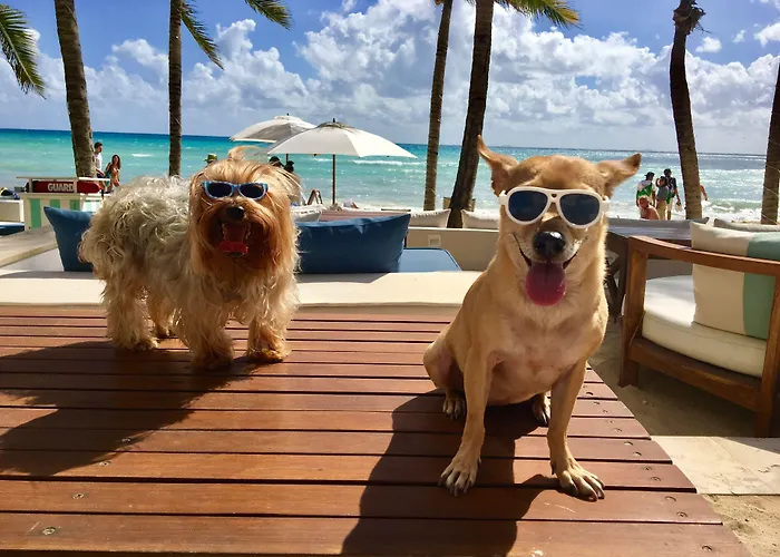 Hotel Thompson House By Hyatt Playa del Carmen
